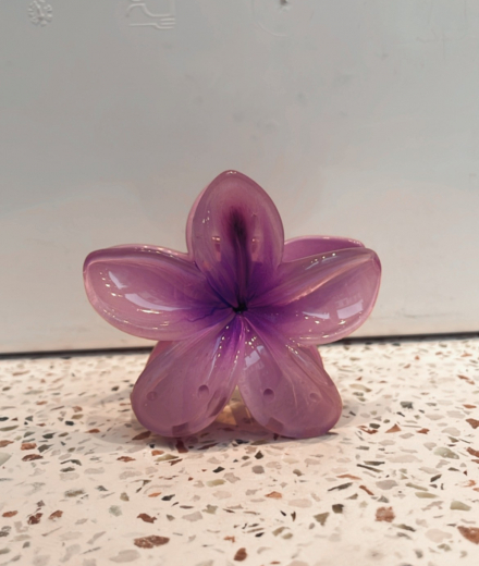 Pince TAHITI lilas